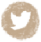 twitter icon